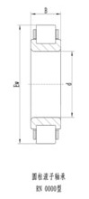 圓柱滾子軸承（無(wú)外圈）RN0000型-2