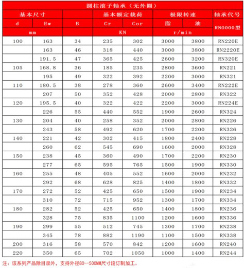 圓柱滾子軸承（無(wú)外圈）RN0000型-5